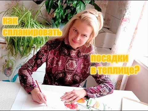 Видео: Как спланировать посадки в теплице