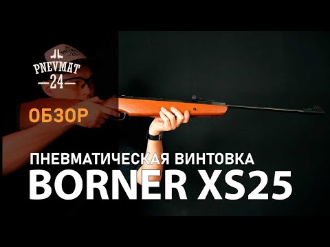Видео: Пневматическая винтовка Borner XS25 (дерево)