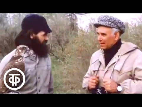 Видео: В мире животных. Весна в Мещере (1983)