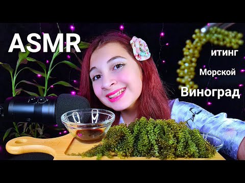 Видео: ASMR Итинг 🌊Морской Виноград🌊🍇SEA GRAPES /Печенька и Тик Так/