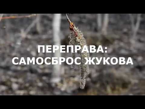 Видео: САМОСБРОС ЖУКОВА и горизонтальная переправа