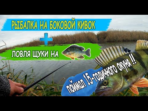 Видео: Рыбалка на боковой кивок Ловля щуки на живца Ловля окуня на боковой кивок рыбалка на речке