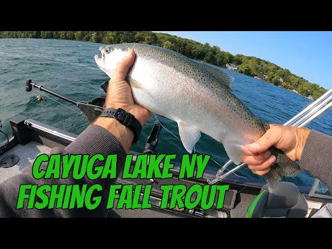 Видео: Осенняя рыбалка на форель на озере Каюга