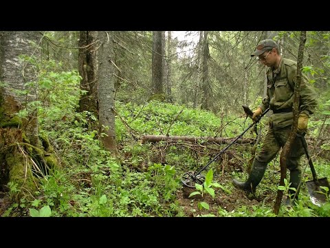 Видео: Таёжные изыскания...#336