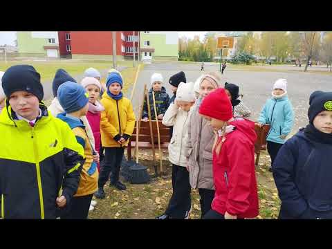 Видео: Субботник, 25.10.2025