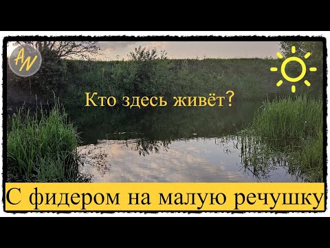 Видео: Хочешь бойкую РЫБУ? Рыбалка на реке Свияга