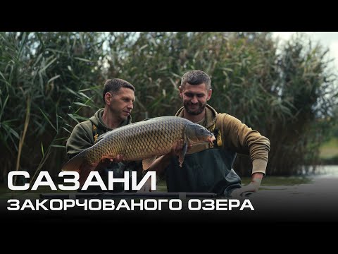 Видео: ДИКІ КОРОПИ. РИБОЛОВЛЯ НА  ЗАКОРЧОВАНОМУ ОЗЕРІ