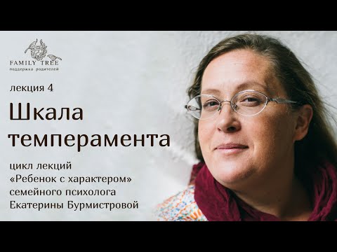 Видео: Екатерина Бурмистрова «Шкала темперамента». Фрагмент вебинара