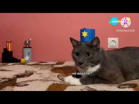 Видео: котинет в каруселе