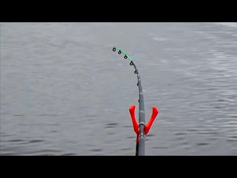 Видео: МЫ ТАКОГО НЕ ОЖИДАЛИ ПОЙМАТЬ ФИНСКИЙ ЗАЛИВ, РЫБАЛКА С БЕРЕГА