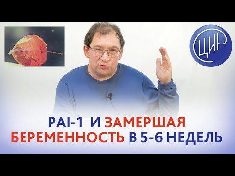 Видео: Невынашивание беременности. PAI-1 может ли быть причиной невынашивания на сроке 5-6 недель?