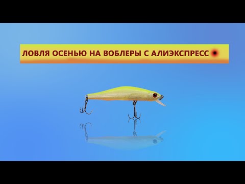 Видео: ЛОВЛЯ ЩУКИ НА ВОБЛЕРЫ С АЛИЭКСПРЕСС ОСЕНЬЮ. воблер minnow . ЛОВЛЯ НА ВОБЛЕРЫ С ALIEXPRESS.