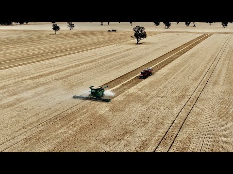 Видео: Кто вообще в наши дни ставит ремень ротора на комбайн? Урожай 25, эпизод 4.