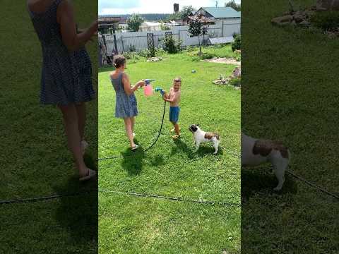 Видео: #Вардавар 2025