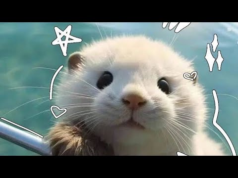 Видео: 🐾музыка чтобы♡отдохнуть♡от всего🐾