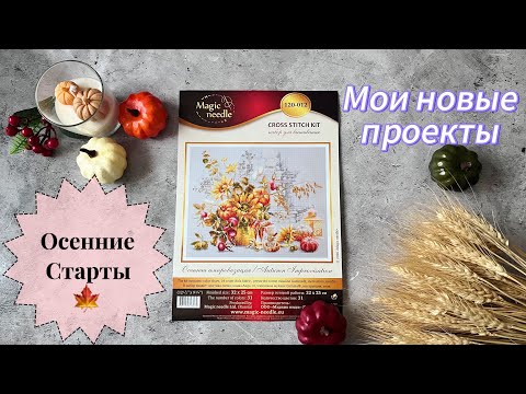 Видео: Осенние старты 2024 г🍁🧵 / Вышивка крестом🪡