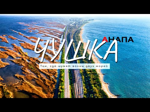 Видео: Анапа - ЧУШКА! Мы такого точно не ожидали увидеть