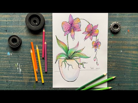 Видео: Как нарисовать цветы орхидеи. Прямой эфир с пояснениями к работе.