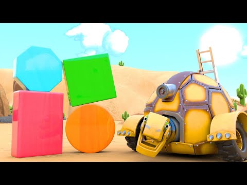 Видео: Форми на костенурката и пустинята