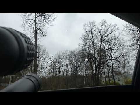 Видео: ноябрьский рейд 3