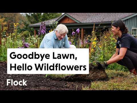 Видео: Разбиваем ЛУГ МГНОВЕННО: от скучного газона до цветущего поля — Эп. 330