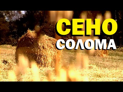 Видео: Галилео. Сено-солома