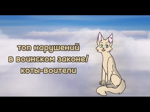 Видео: Топ нарушений в воинском законе/коты-воители