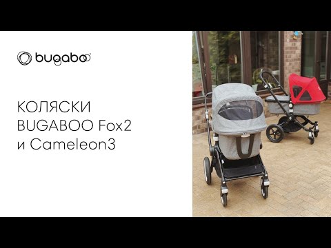 Видео: Сравним модели колясок BUGABOO Fox2 и BUGABOO Cameleon3