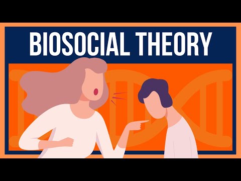 Видео: Объяснение биосоциальной теории ДПТ: как возникают и поддерживаются симптомы