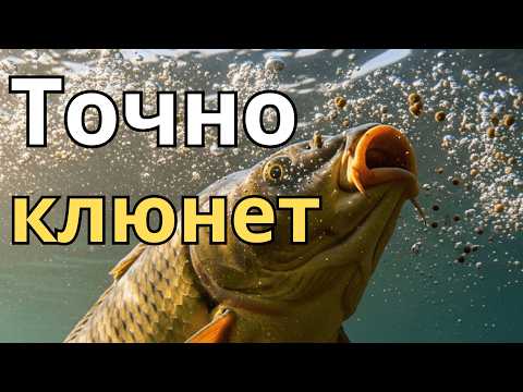 Видео: 👉 Эта прикормка работает всегда! Карп клюёт даже в холодной воде