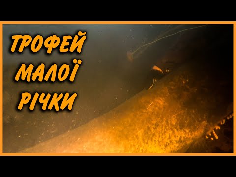 Видео: ТРОФЕЙНИЙ СОМ НА МАЛІЙ РІЧЦІ #ЕПІЗОД5 | ПІДВОДНЕ ПОЛЮВАННЯ 2024