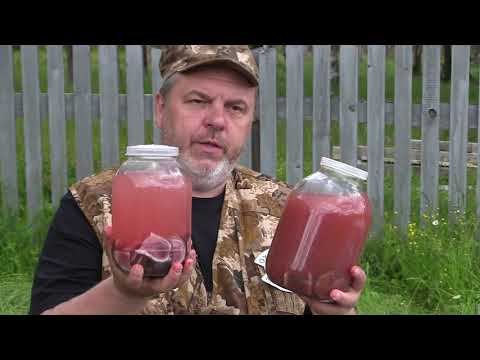 Видео: Охотничий Мастер-класс от А до Я. Приготовление пантокрина