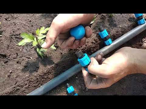 Видео: Капельный полив.Установка.Простота.