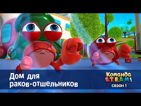 Видео: Команда S.T.E.A.M. Сезон 1 - Серия 19.Дом для раков-отшельников - Премьера мультфильма