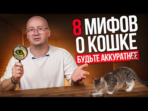 Видео: 8 МИФОВ О КОШКАХ — зоопсихолог объясняет, где правда, а где выдумка