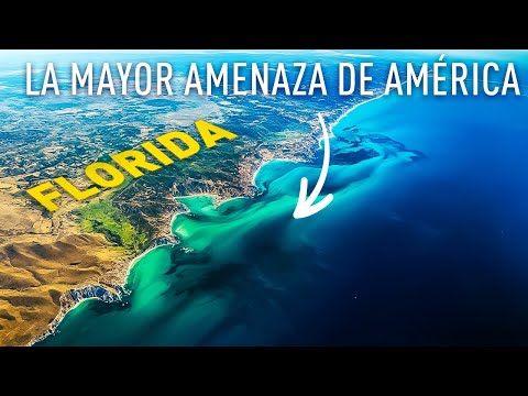 Видео: Побережье Флориды УДИВИТ мир этими кадрами с дрона!