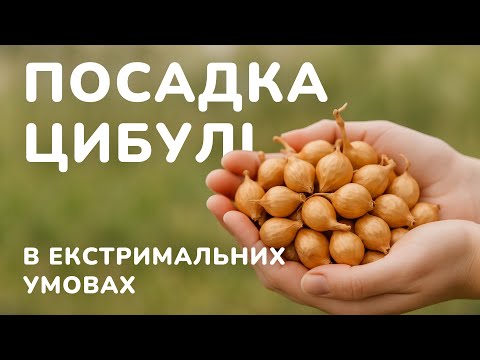 Видео: Як посадити цибулю й часник у мокрий ґрунт: просте рішення для екстремальних умов