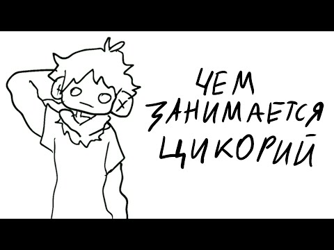 Видео: чем занимается цикорий