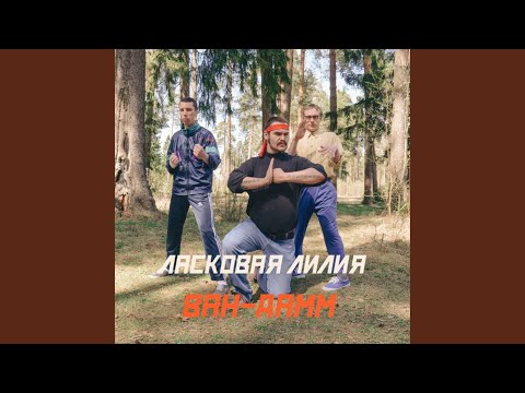 Видео: Ван Дамм