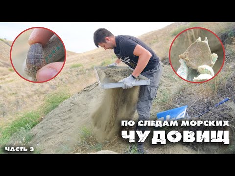 Видео: Выкапываем МОЗАЗАВРОВ | Большая экспедиция по следам морских чудовищ | Часть 3