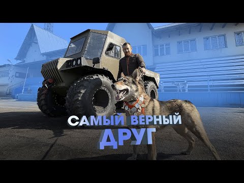 Видео: САМЫЙ ВЕРНЫЙ ДРУГ - БАЙКАЛ