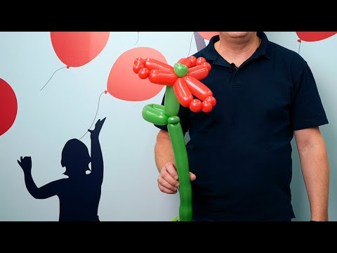 Видео: Цветок из шаров для моделирования