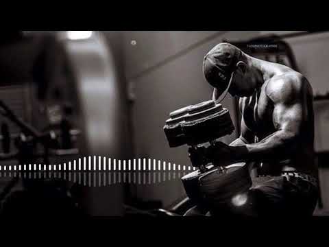 Видео: МУЗЫКА ДЛЯ ТРЕНИРОВОК 2025💣 | Тренажерный зал | Мотивация для Спорта и Фитнеса | Workout Music🦾