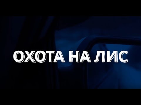 Видео: ОХОТА НА ЛИС. ГОНЧИЕ