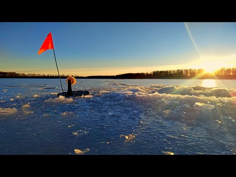Видео: РЫБАЛКА НА ЖЕРЛИЦЫ, ВКУСНАЯ ЕДА НА САДЖЕ