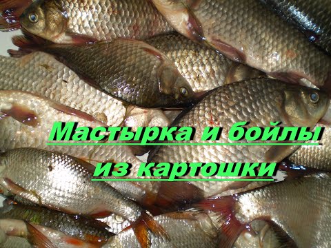 Видео: Мастырка и бойлы из картошки.