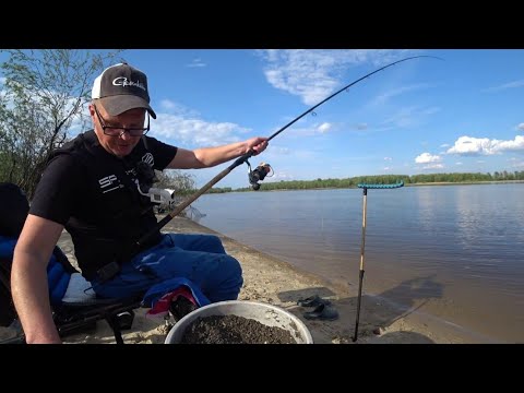 Видео: 🐳РИБОЛОВЛЯ НА ПЕРЕВІРЕНИХ МІСЦЯХ🐳 ФІДЕР 2025🐳🐳🐳 ДНІПРО