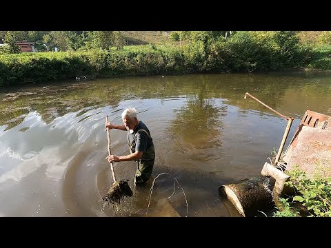 Видео: ОСЕННИЕ ЗАБОТЫ НА НАШЕМ ОЗЕРЕ