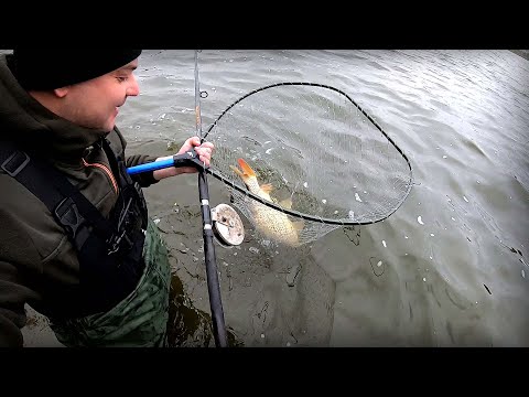 Видео: Риба зайшла на зимовку! Шо твориться на Дніпрі в таку погоду !!!