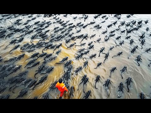 Видео: Это Было бы Невозможно Доказать, Если бы Это Не Сняли на Камеру